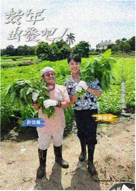 幕后八小时行业综艺封面图